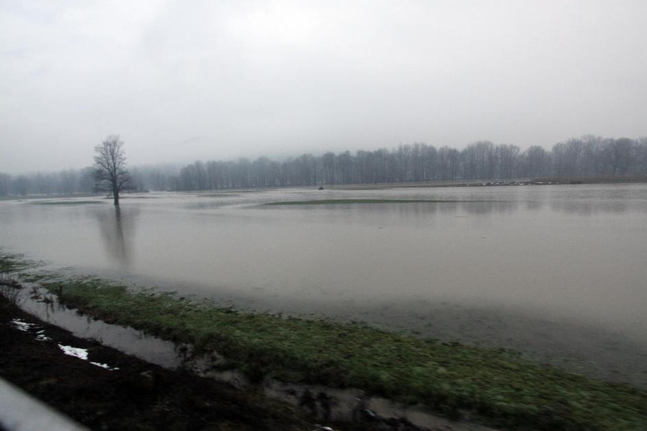 Sava je včeraj popoldne poplavljala tudi na območju Litije. (Foto: Benjamin Kova