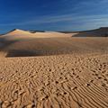 Sahara, Mali.