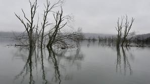 Poplavljeno Planinsko polje