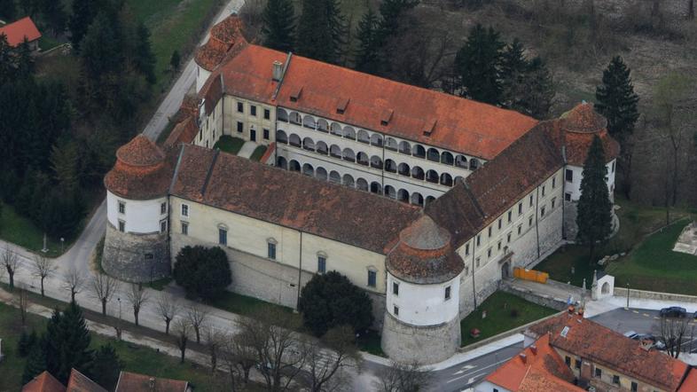 grad Brežice