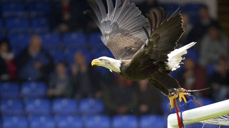 Crystal Palace - Manchester City