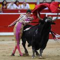 Zadnje dejanje je znova prepuščeno matadorju, ki s seboj v areno prinese ogrinja