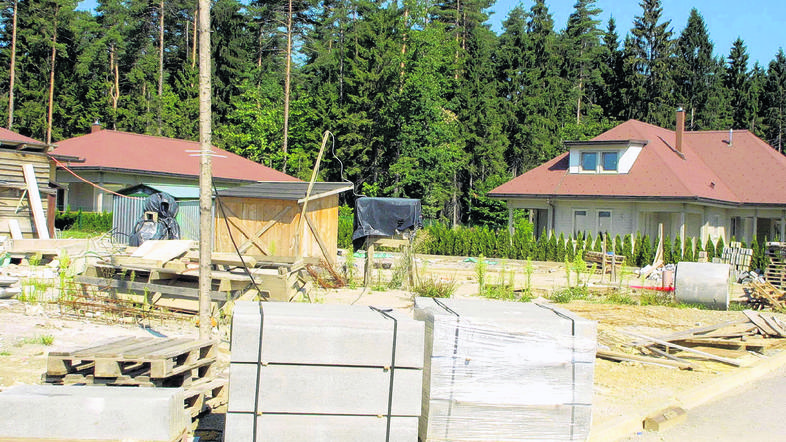 Zbiljski gaj (Foto: Bobo)