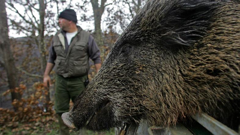 Fotografija je simbolična. (Foto: Reuters)