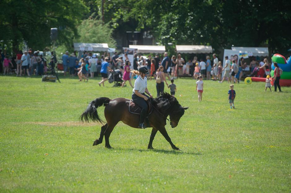 sejem | Avtor: Anže Petkovšek