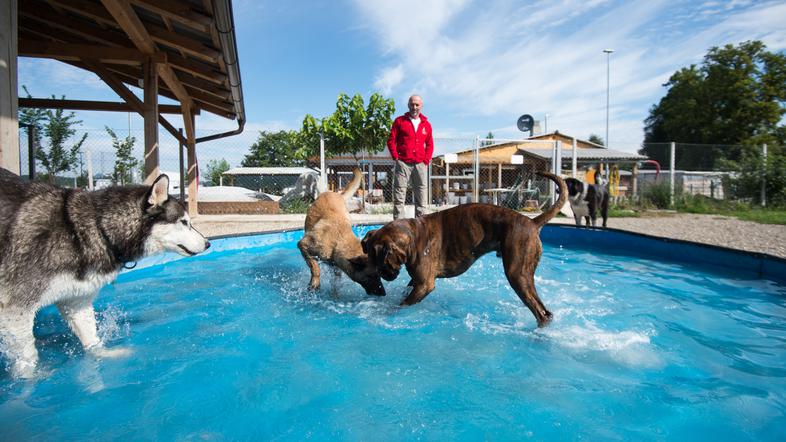 Pasji vrtec in hotel