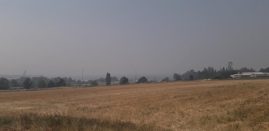 Luka Koper in Obala iz Ankarana požar Kras | Avtor: Žurnal24 