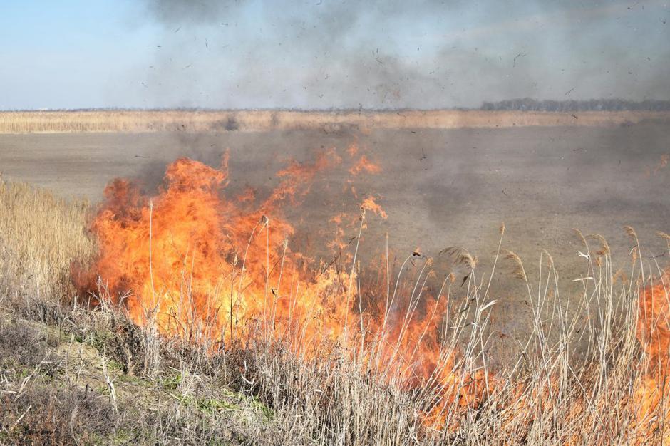 Travniški požar | Avtor: Profimedias