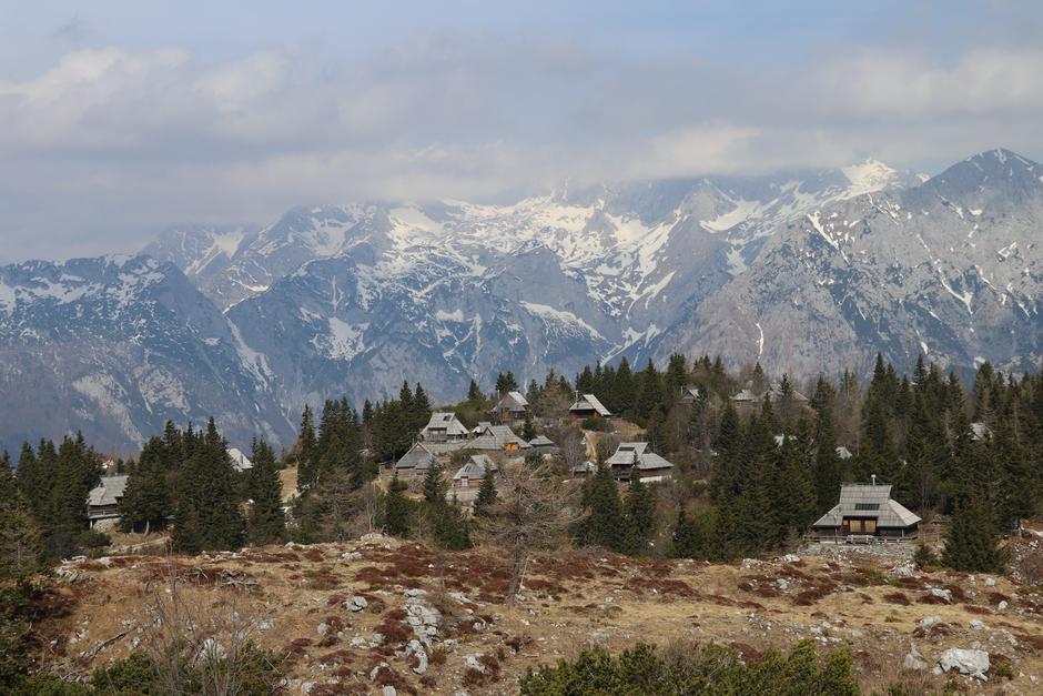 Velika Planina | Avtor: T. S.