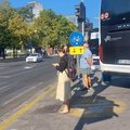 kolesarska steza ap ljubljana