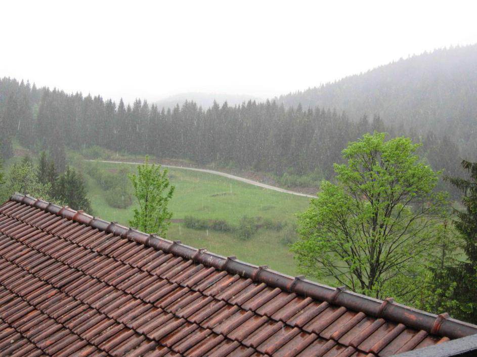 Snega v Loškem potoku