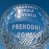 kristalni pokal Pokal Slovenije NZS