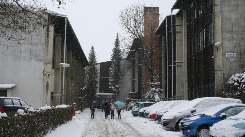 Na Osnovni šoli Bršljin so malico pripravljali tudi iz živil s pretečenim rokom.