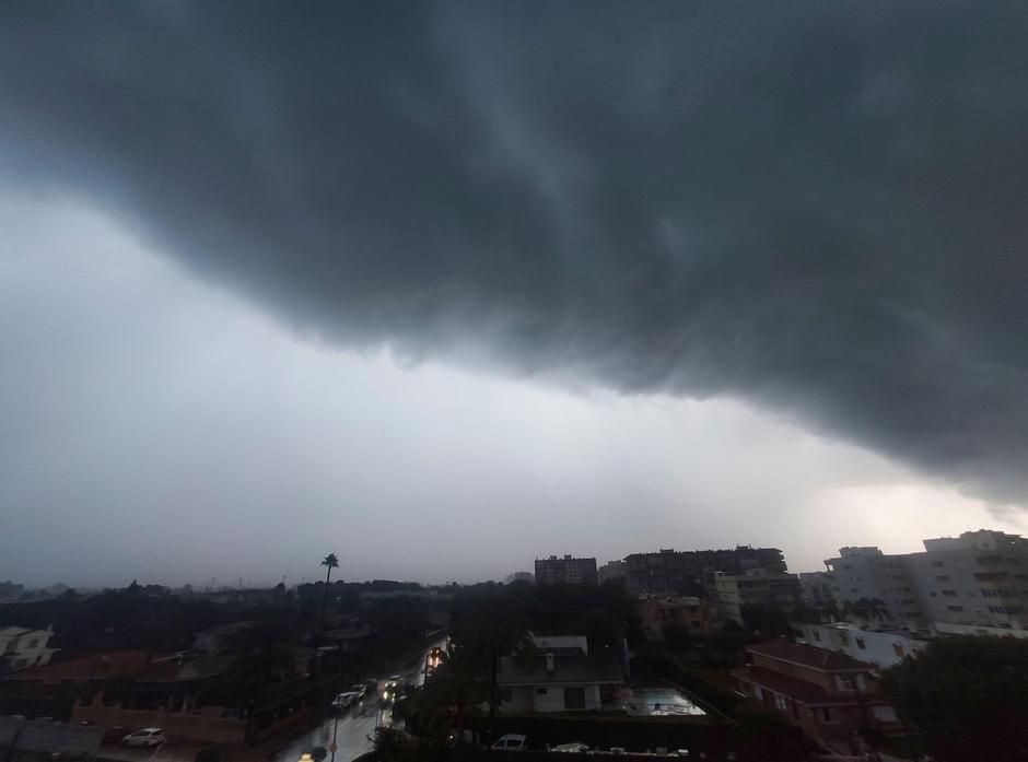 Neurje | Avtor: Profimedia