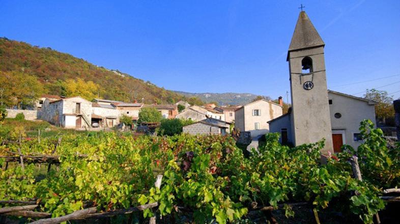 Zivljenje 23.04.13, zazid, foto: Ubald Trnkoczy