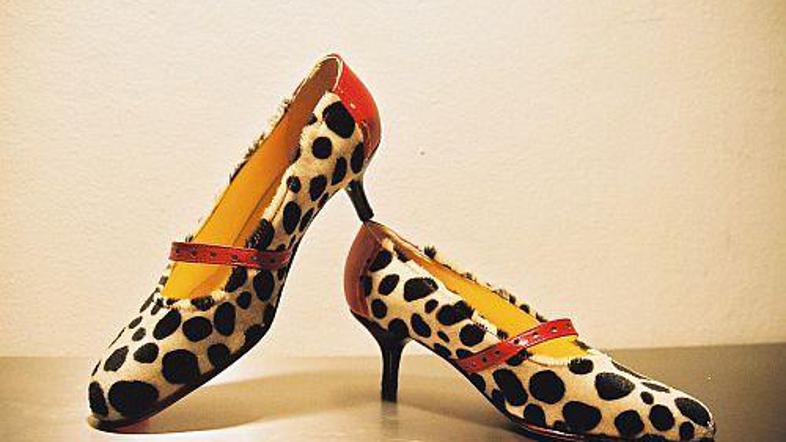 Lahko bi bili divji.