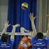 liga prvakov četrtfinale ACH Volley Hypo Tyrol