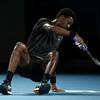 Gael Monfils