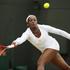 Stephens Wimbledon OP Anglije grand slam