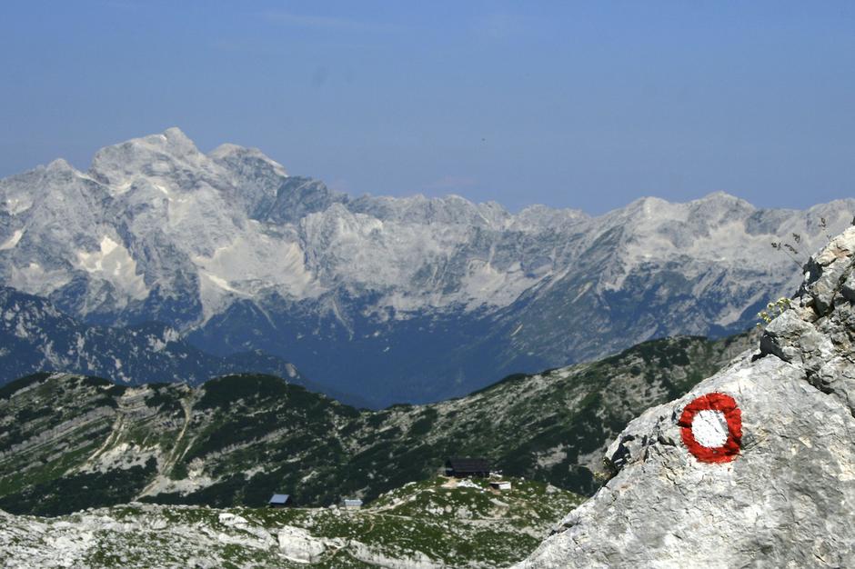 markacija | Avtor: Manca Ogrin