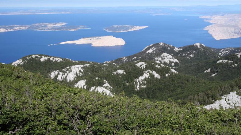 Severni del Velebita