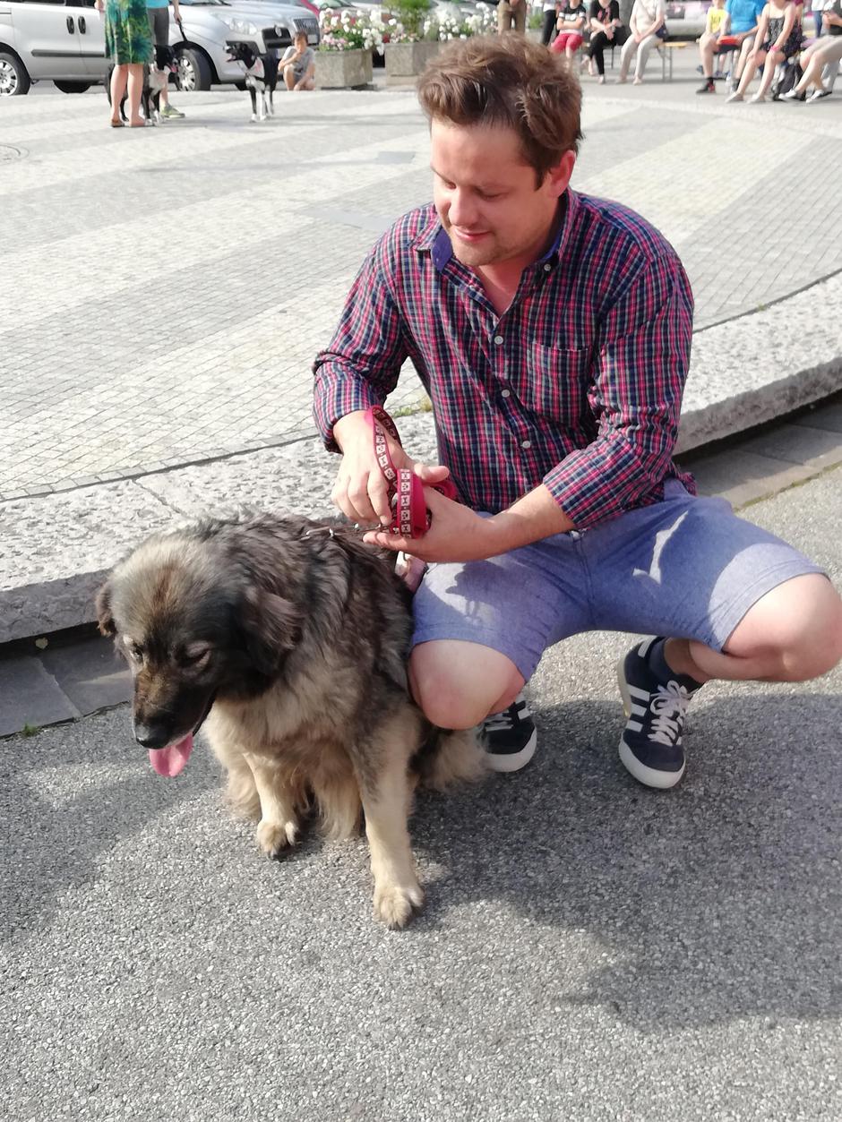 Festival za ljubitelje živali | Avtor: B. P.