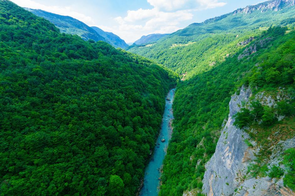 reka Tara | Avtor: Profimedia