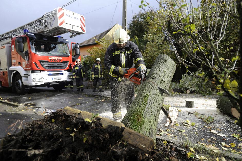 Neurje na Madžarskem, padlo drevo