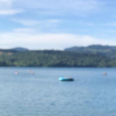 Velenjsko jezero