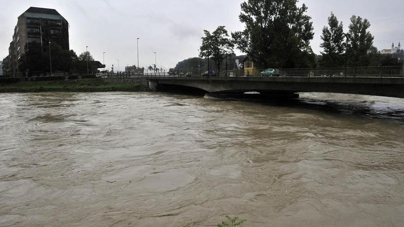 (Foto: Gregor Katič)