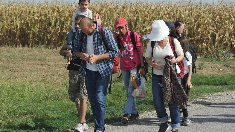 Beguinci na srbsko-hrvaški meji