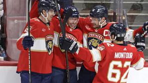 Florida Panthers