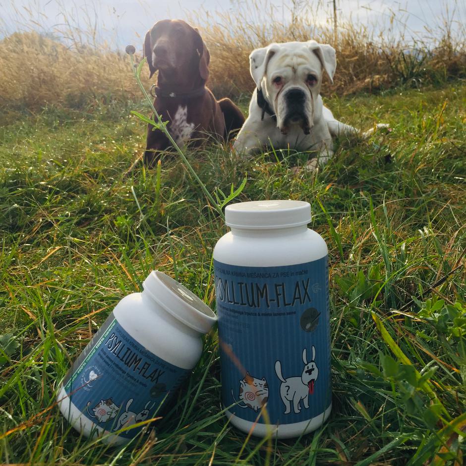 Psyllim-Flax | Avtor: Psyllim-Flax predstavlja nepogrešljivo prvo pomoč za številne pasje skrbnike