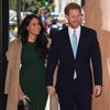 meghan markle, princ harry