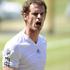 Andy Murray Wimbledon finale