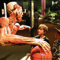 Body Worlds Vital