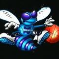 charlotte hornets logo