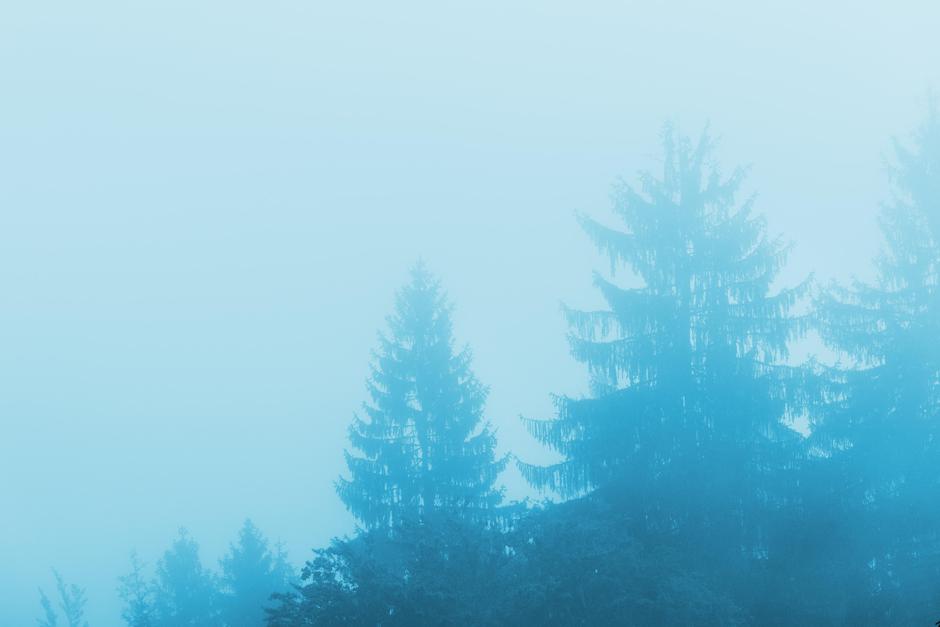 Jutranja megla | Avtor: Profimedia