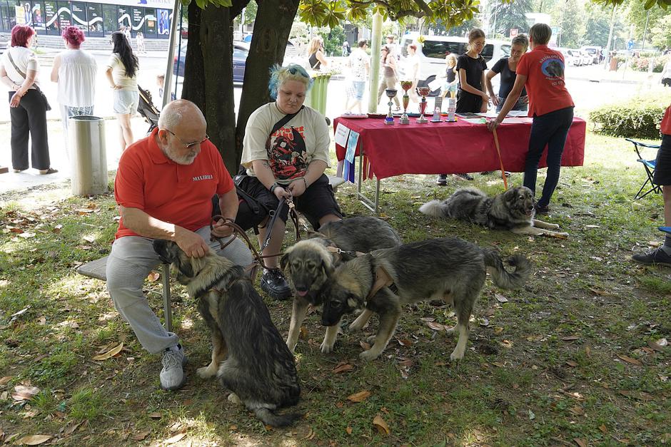 festival živali 2026 | Avtor: Matija_Janežič