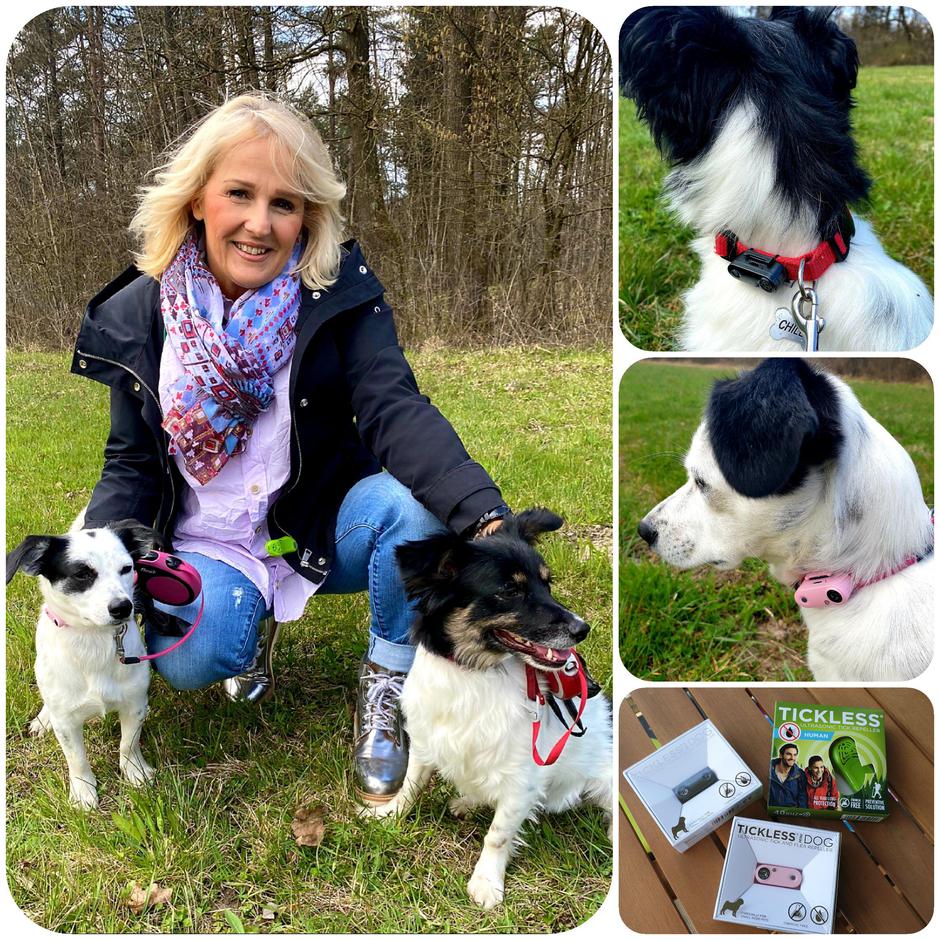 Tickless | Avtor: Tickless