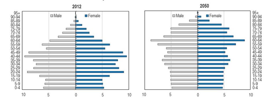 Populacijska piramida kitajskega prebivalstva | Avtor: OECD