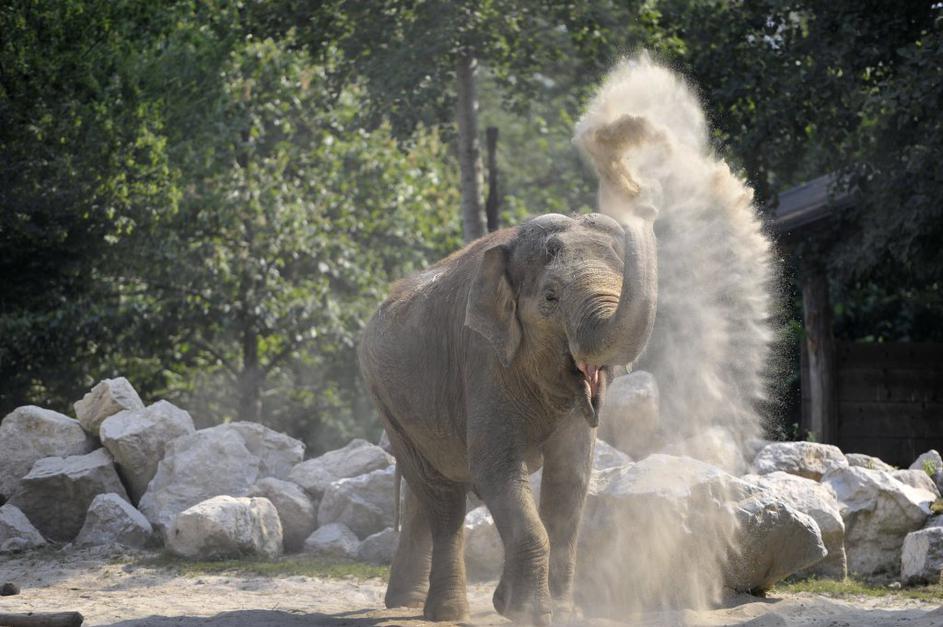 Živalski vrt Ljubljana