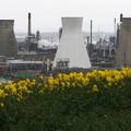 Rafinerija Grangemouth na Škotskem je zaradi stavke zaprla proizvodnjo.