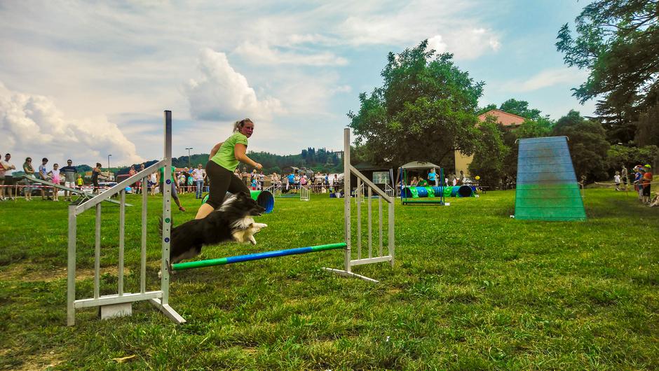 Alenka in Lila | Avtor: Jaša Levstik