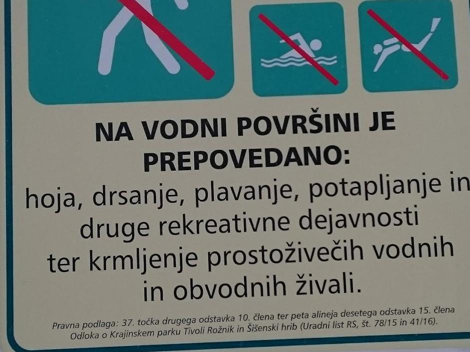 tabla, koseški bajer | Avtor: S. H. H.