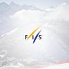 fis logo