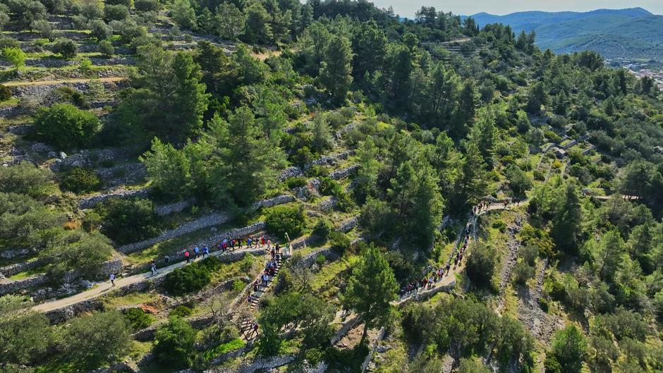  | Avtor: Frlan Media