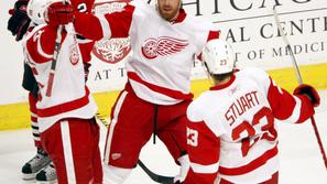 detroit red wings