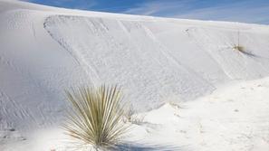 white sands