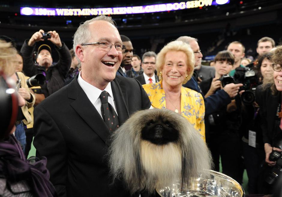 Pekinez | Avtor: EPA